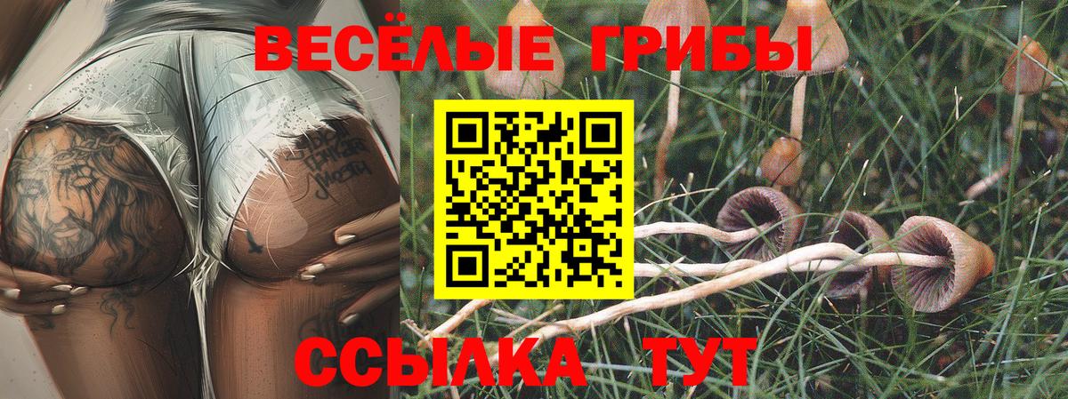 Галлюциногенные грибы Cubensis Батайск