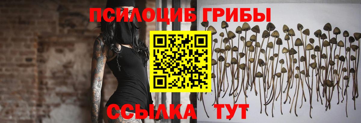 Псилоцибиновые грибы мицелий  Галлюциногенные грибы мухоморы  что такое   Вход с VPN  Батайск 